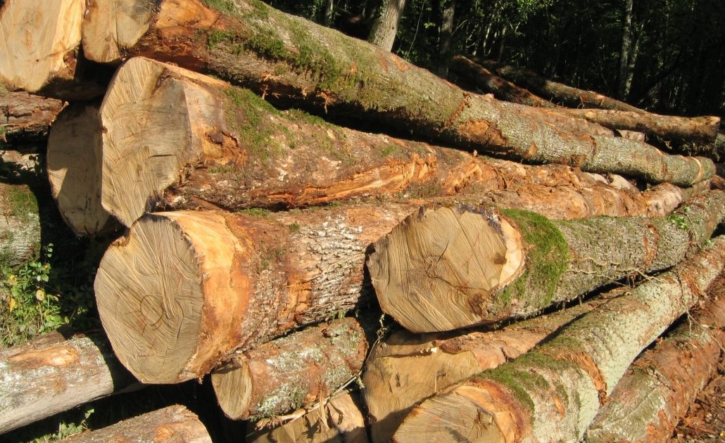 bois de chataignier prix au